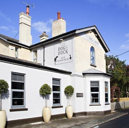 The Dog And Duck Suffolk Apartman Woodbridge Kültér fotó